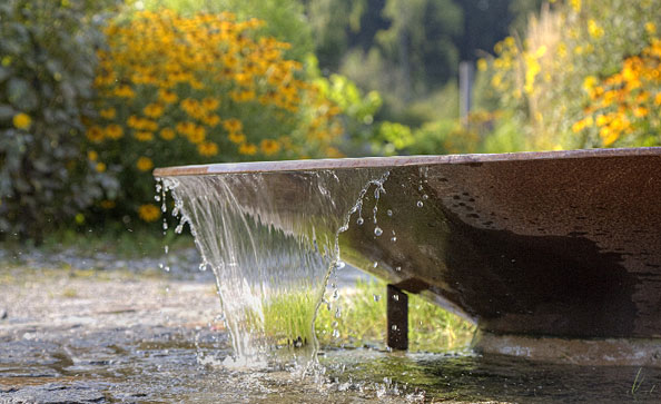 Wasserschale
