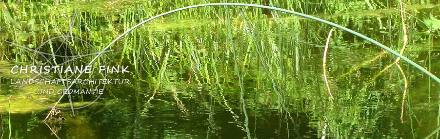 Teichbinse